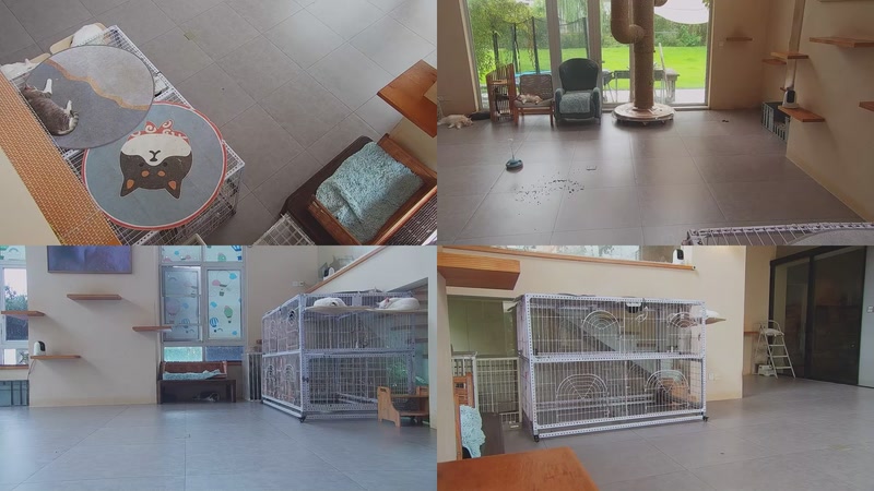 【2025-10-03 10点场】喵放送：喵放送☀️喵呜~