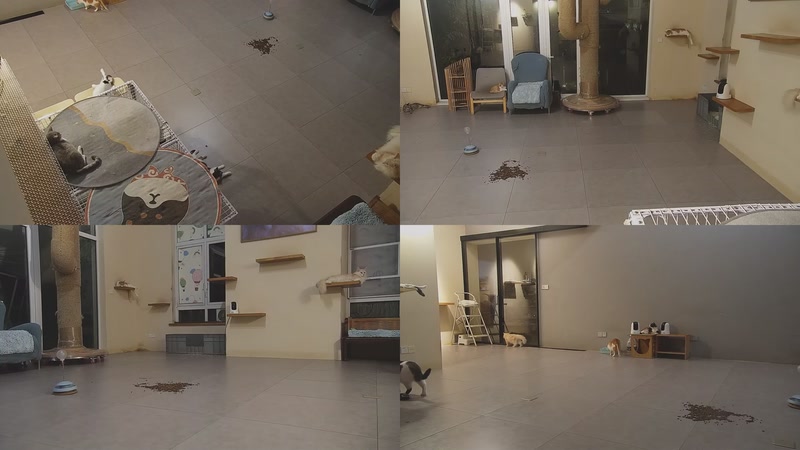 【2025-10-02 22点场】喵放送：喵放送☀️喵呜~