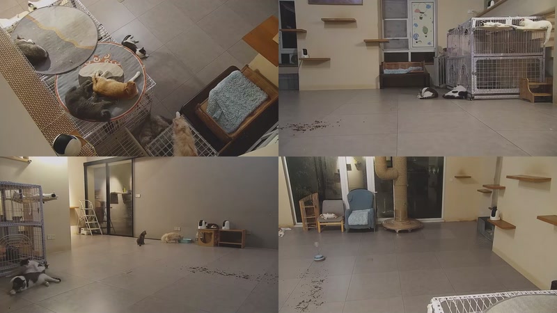 【2025-10-03 22点场】喵放送：喵放送☀️喵呜~