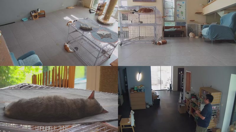 【2025-10-05 10点场】喵放送：喵放送☀️喵呜~