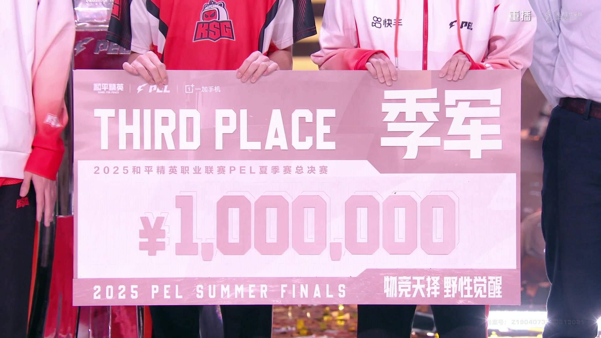 【2025-10-08 11点场】和平精英官方赛事：重播|PEL夏季赛决赛