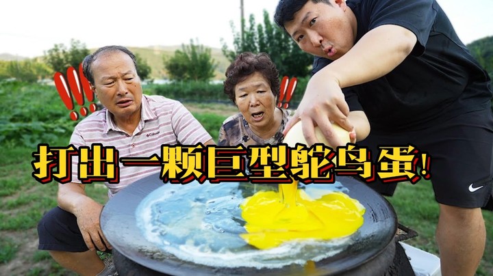 一颗巨型鸵鸟蛋