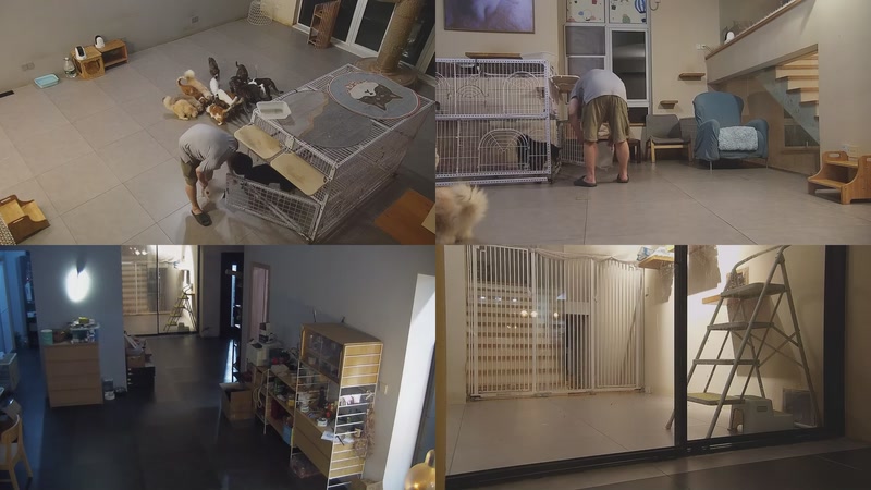 【2025-10-14 20点场】喵放送：喵放送☀️喵呜~