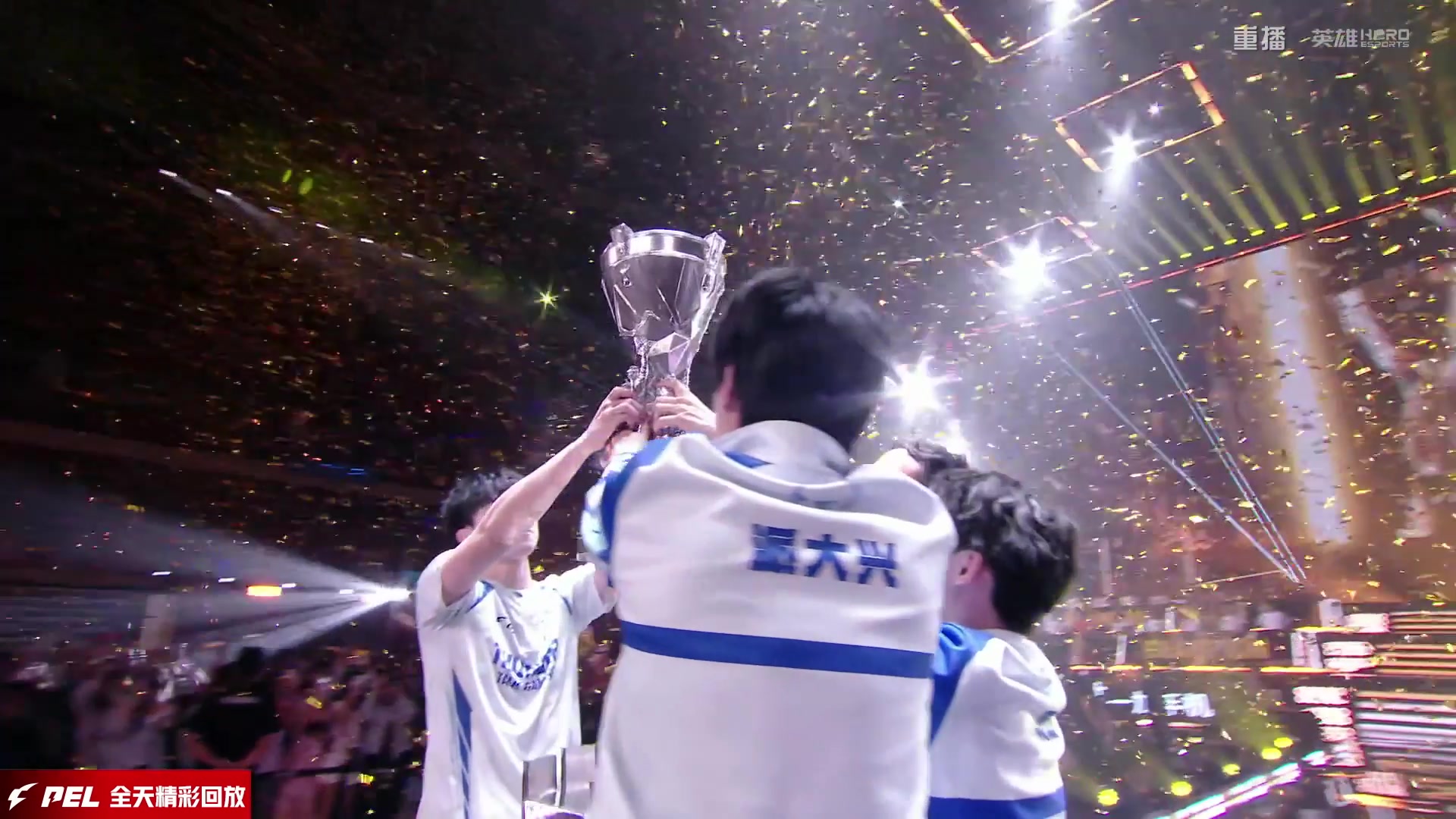 【2025-10-15 20点场】和平精英官方赛事：重播|PEL夏季赛决赛