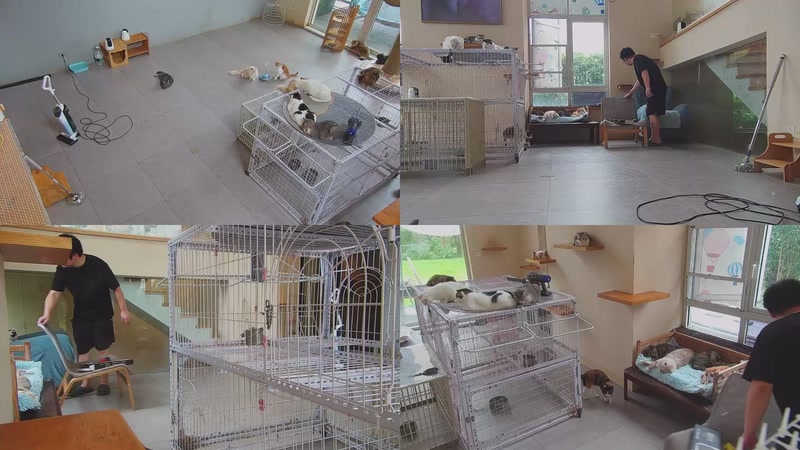 【2025-10-16 15点场】喵放送：喵放送☀️喵呜~