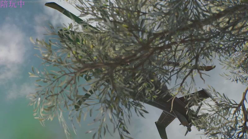 【2025-10-17 23点场】午颜OVO：又来混时长了 7806923