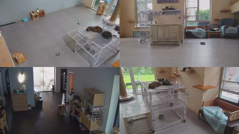 【2025-10-18 11点场】喵放送：喵放送☀️喵呜~