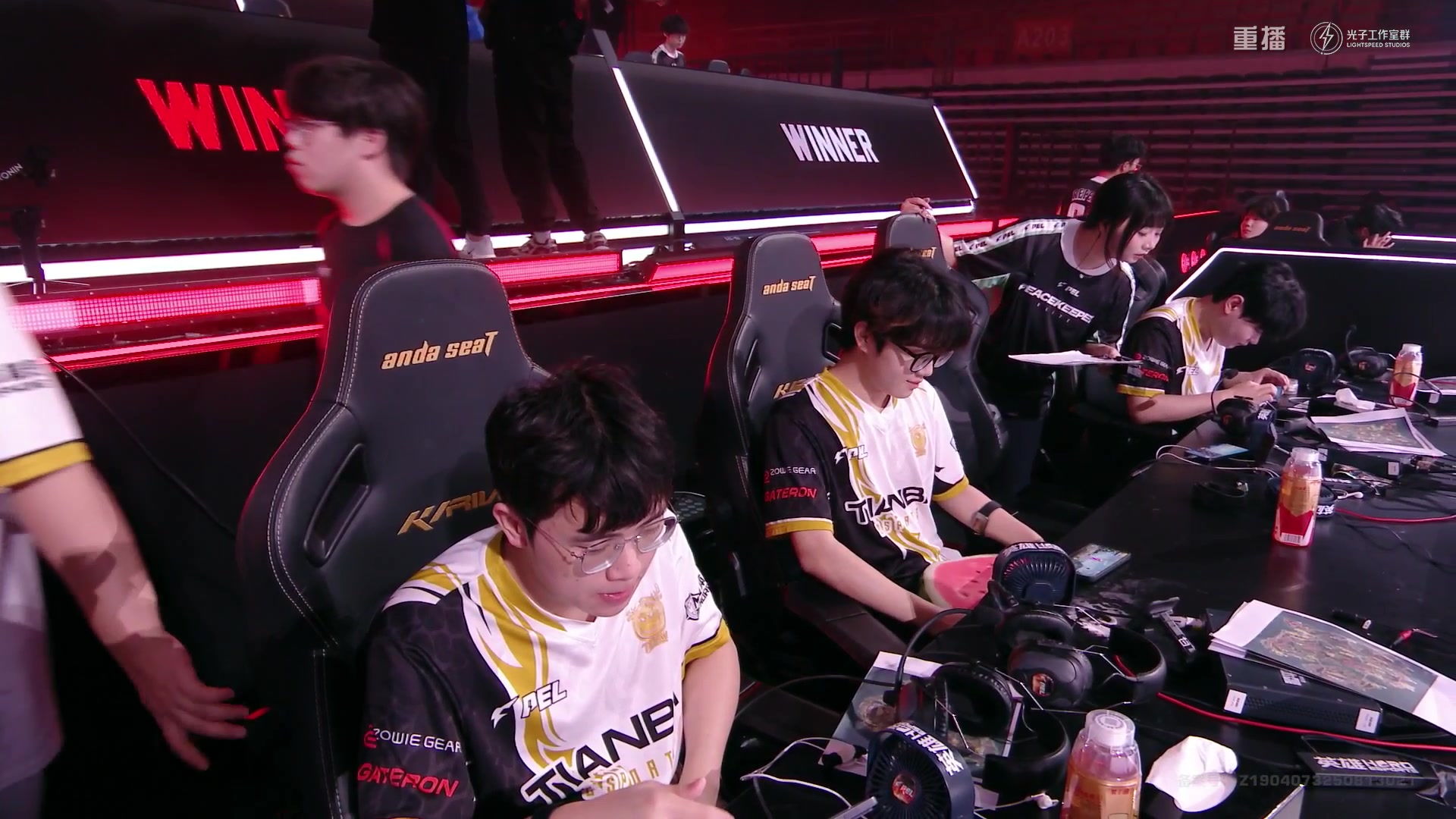 【2025-10-19 17点场】和平精英官方赛事：重播|PEL夏季赛决赛