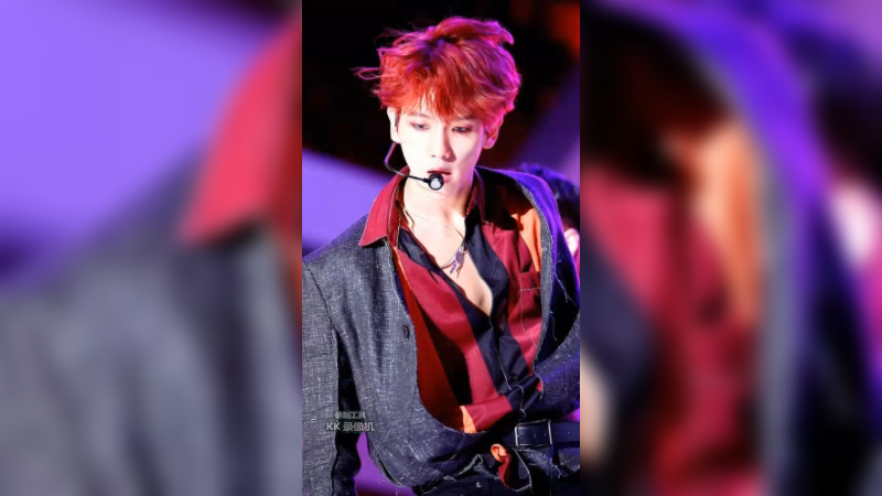 BAEKHYUNCHEND.O. exo边伯贤、CHEN、D.O파라다이스 (메인 테마) (Paradise)(Live)