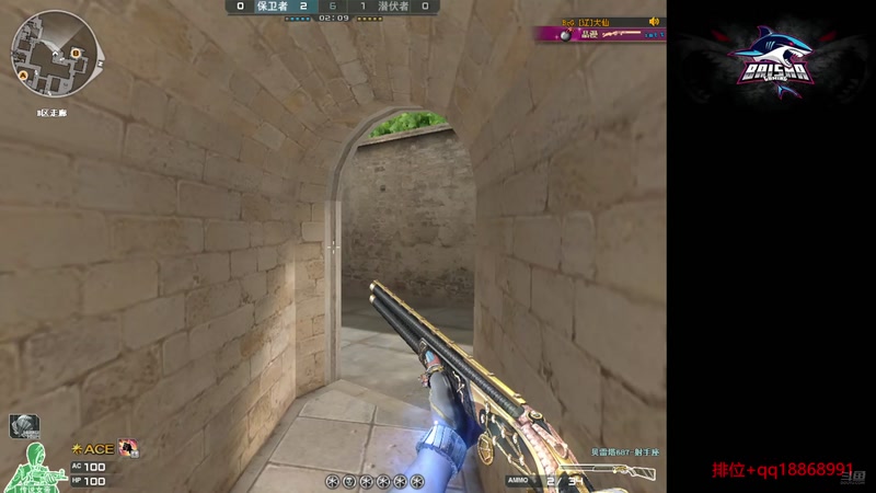 【2025-10-23 14点场】白鲨熊猫君：荣耀传说/秒上号/极速上分~@