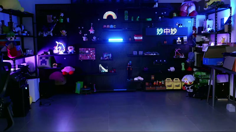 【2025-10-25 完整版】爱玩游戏的赫某人：【妙中妙】复活吧！！！