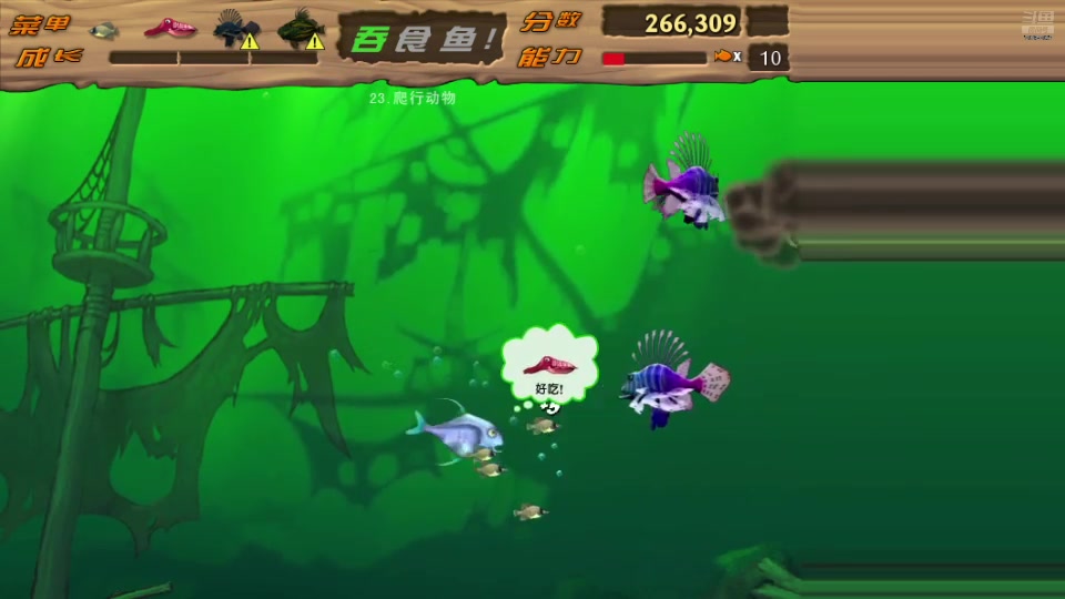 【2025-10-27 完整版】牵着马老师的淡：直播啦～～～