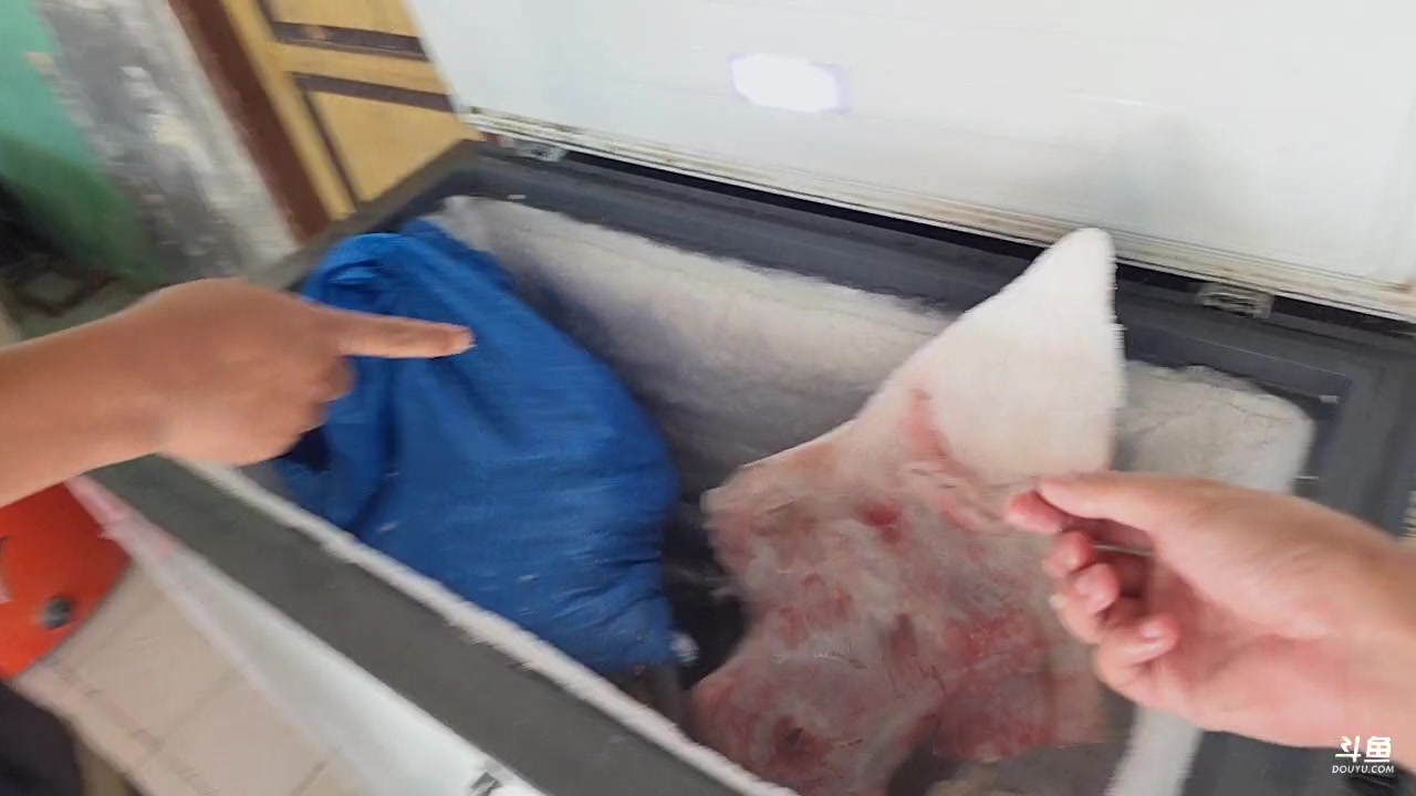 【2025-10-29 12点场】主播大飞牛肉：印度尼西亚三傻15天荒岛生活