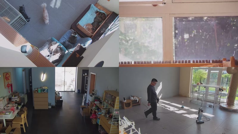 【2025-10-29 11点场】喵放送：喵放送☀️喵呜~