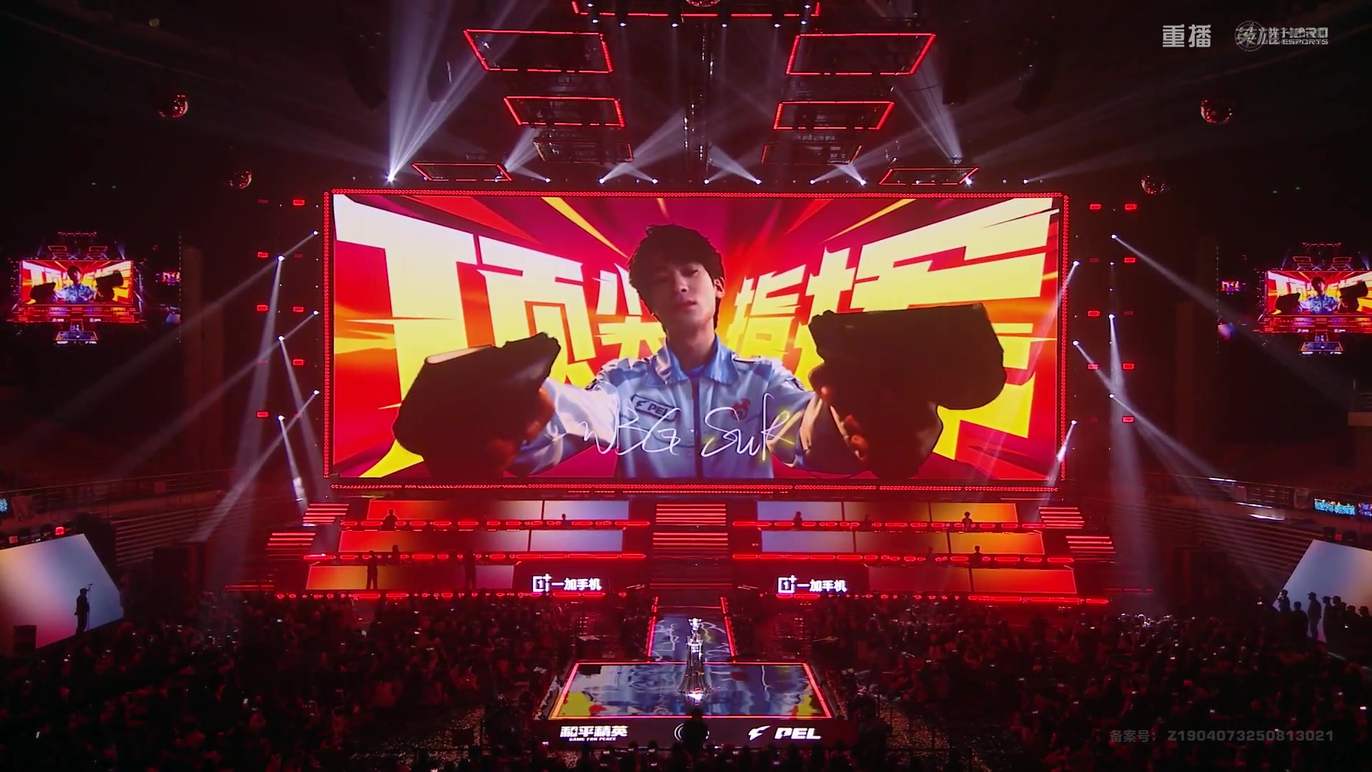 【2025-10-29 00点场】和平精英官方赛事：重播|PEL夏季赛决赛
