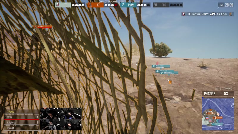 【2025-10-29 21点场】17小鬼丷：【PGS10】17战队视角