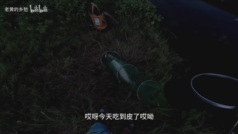 【2025-10-30 16点场】猫叔灬灬：【猫叔】比赛加油鸭~~~