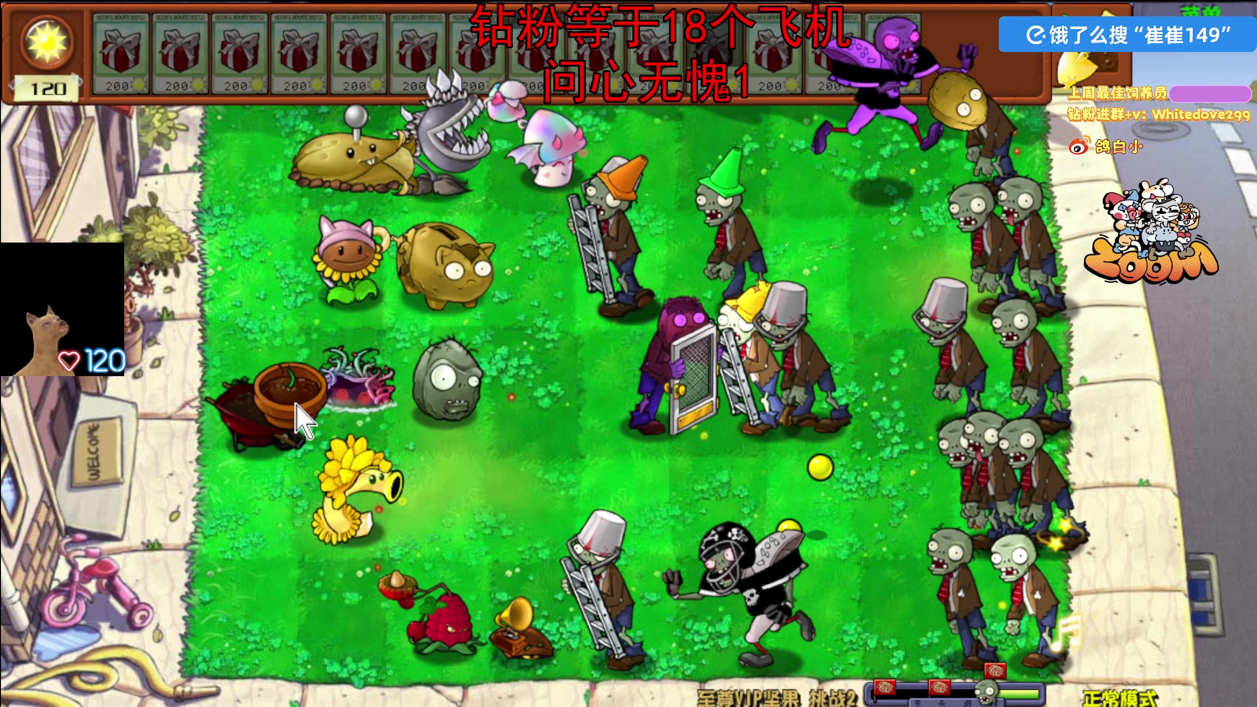 【2025-10-31 17点场】小白鸽WhiteDove：【ZOOM电竞】钻粉限时138！！！双倍