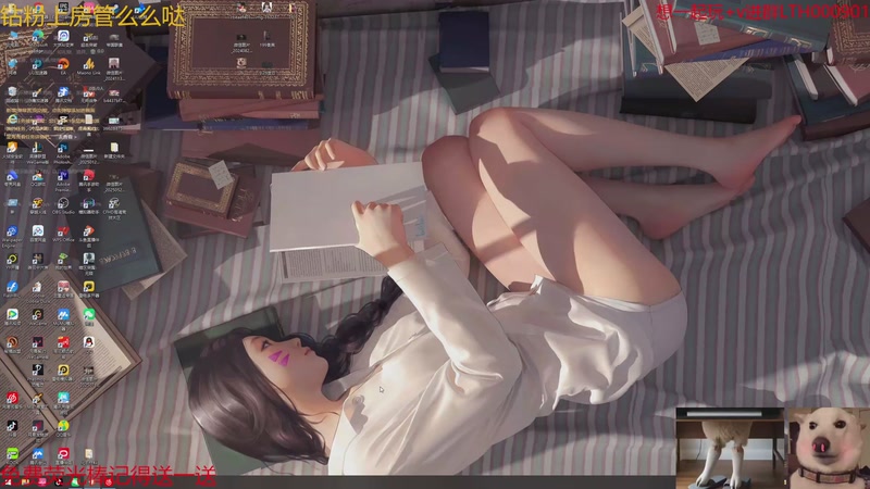 【2025-10-29 15点场】是猫咪吖丶：秘境战盟来咯 么么哒