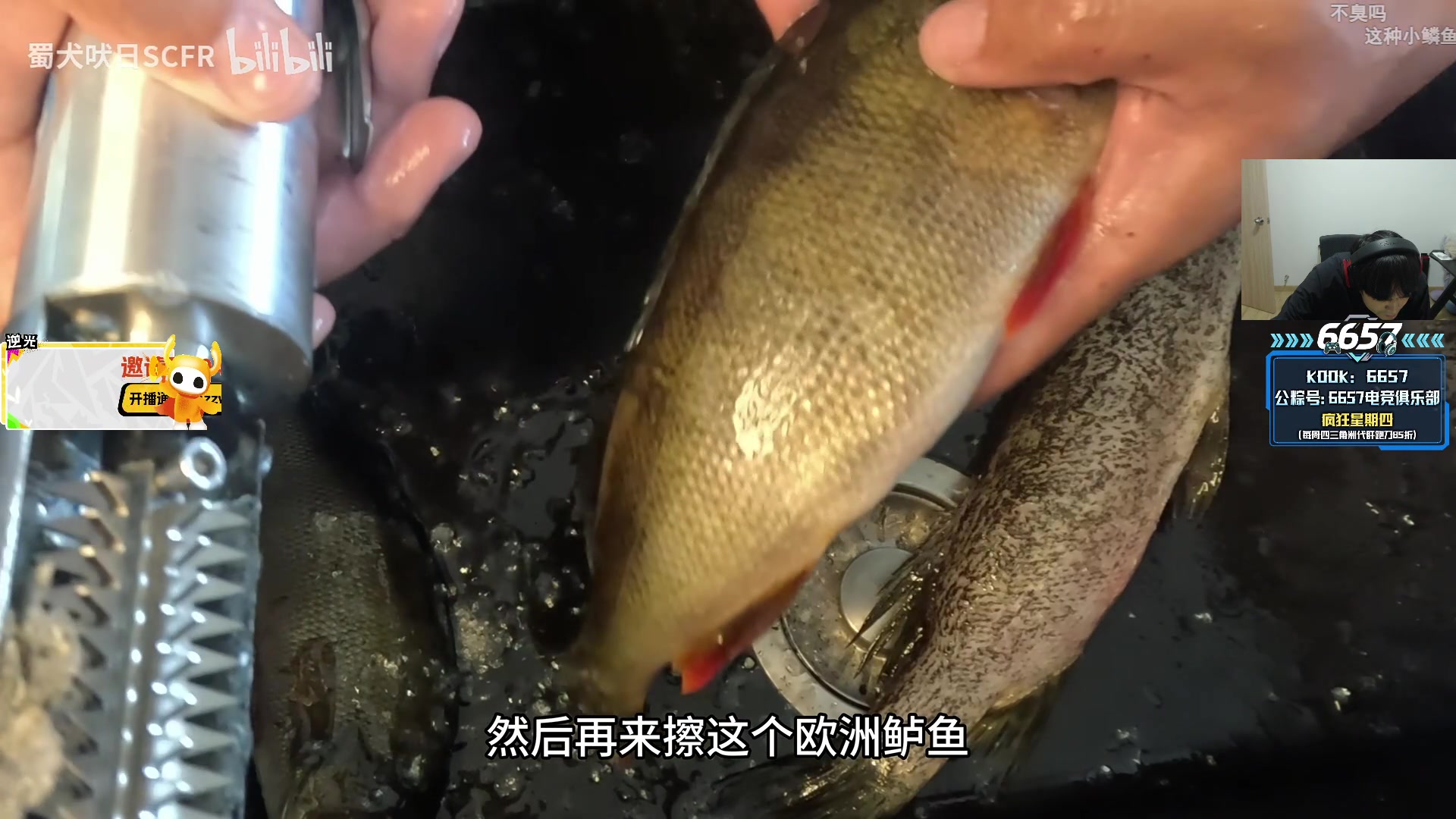 【2025-11-01 02点场】CSGO解说伟伟：炸一下5E