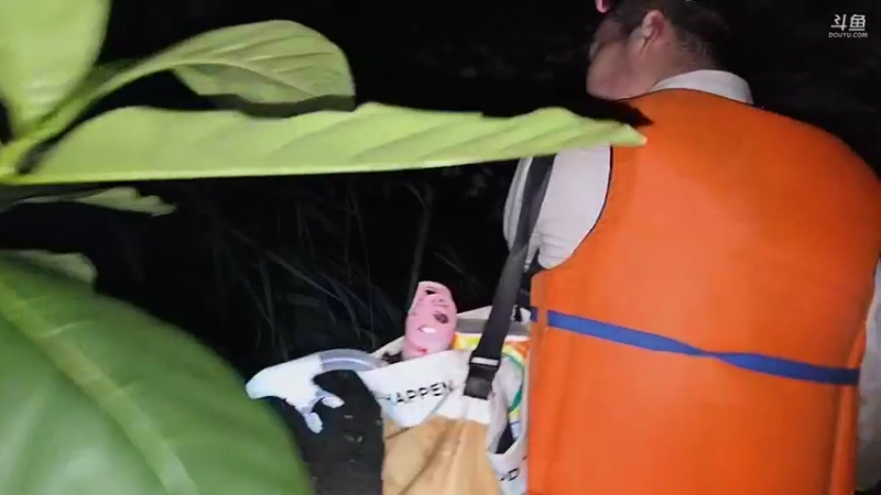 【2025-10-31 21点场】主播大飞牛肉：印度尼西亚三傻15天荒岛生活