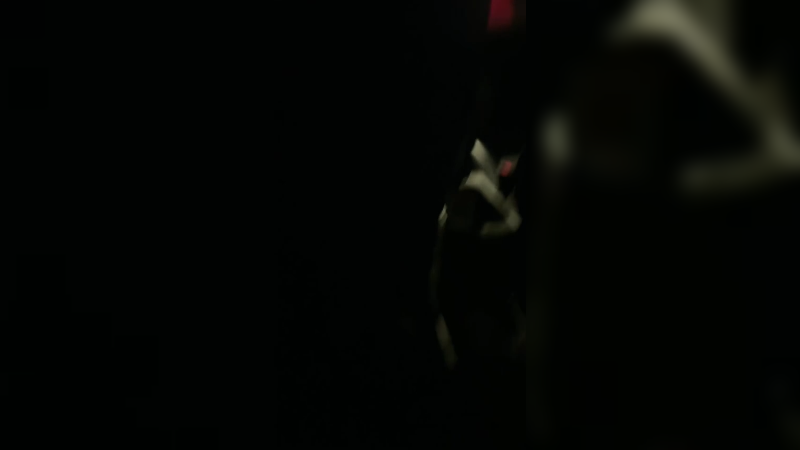 【2025-11-01 完整版】一只猛龙丶：新人主播冲冲冲~