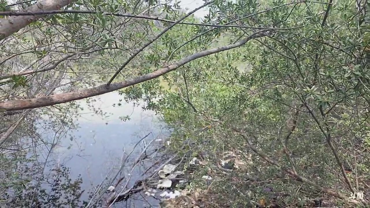 【2025-11-02 13点场】主播大飞牛肉：印度尼西亚三傻15天荒岛生活