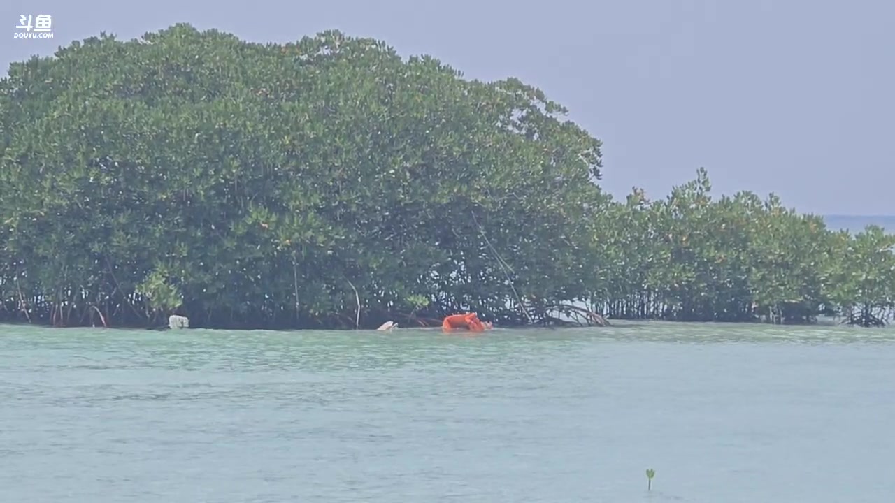 【2025-11-02 11点场】主播大飞牛肉：印度尼西亚三傻15天荒岛生活