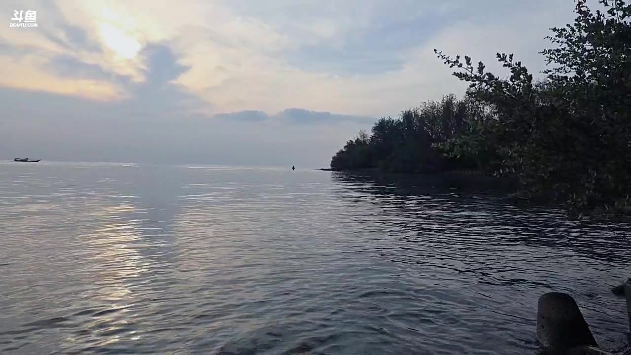 【2025-11-02 17点场】主播大飞牛肉：印度尼西亚三傻15天荒岛生活