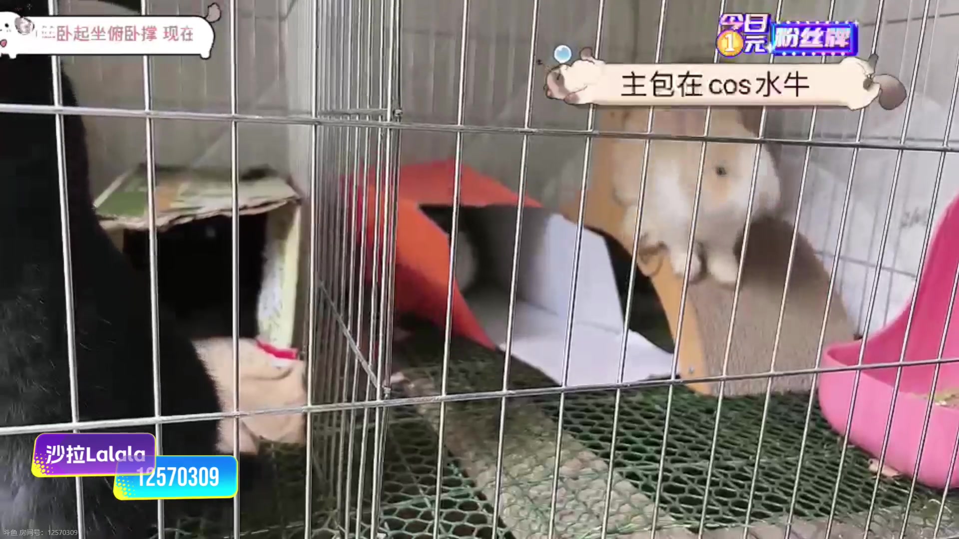 【2025-11-03 14点场】757户外：【非常互娱】757女团S7 娱乐季~