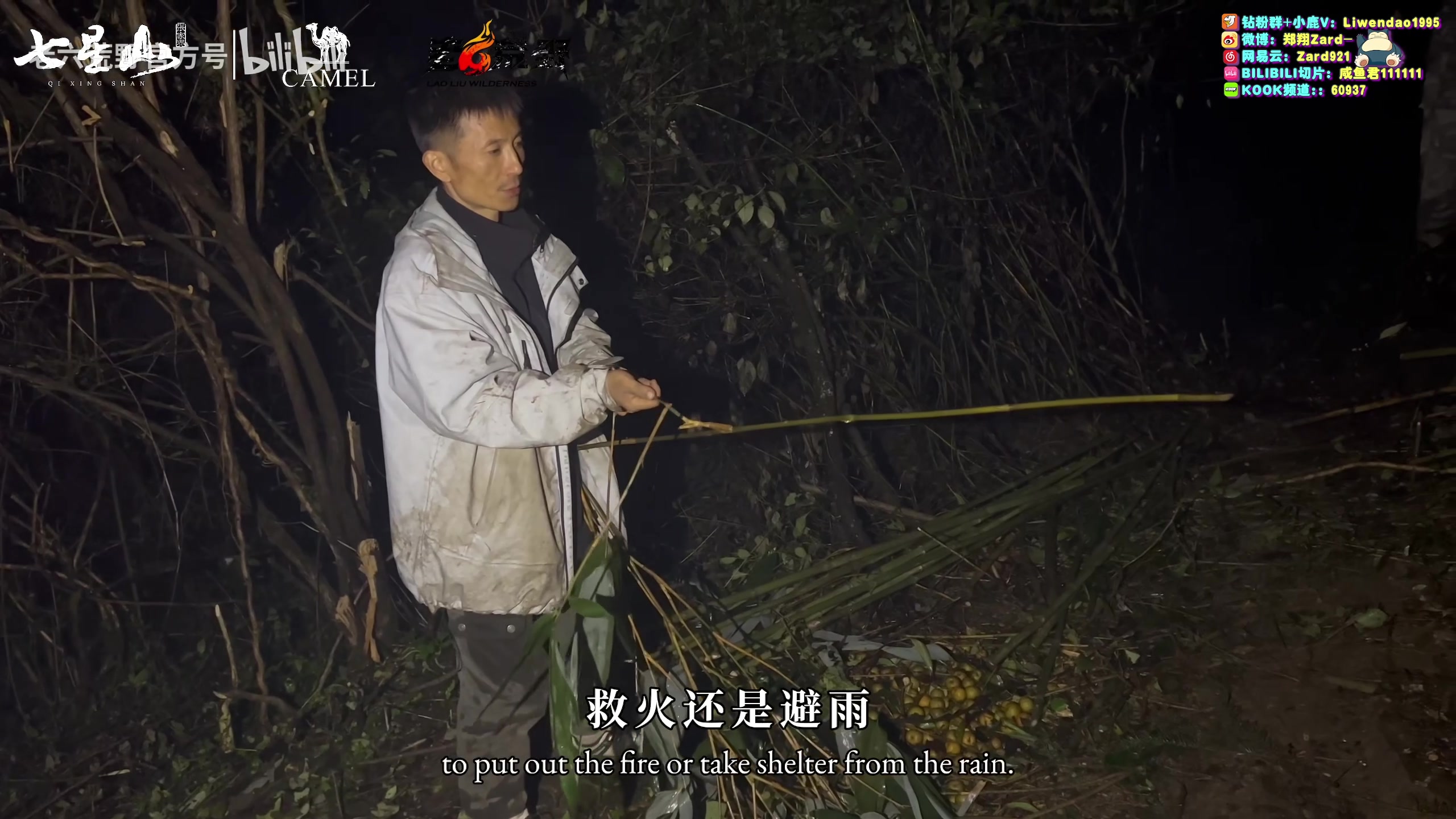 【2025-11-03 15点场】zard1991：zado1991-chill dude