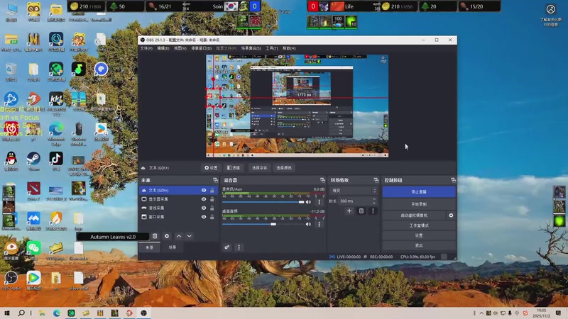 【2025-11-02 19点场】iameer0：【直播】7点直播BCUP