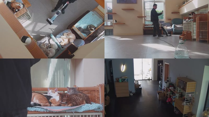 【2025-11-03 13点场】喵放送：喵放送☀️喵呜~