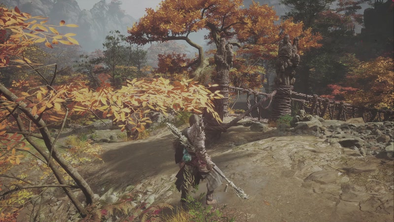 【2025-11-3 0点场】林臻棟:开打开打！！！！ 4358772