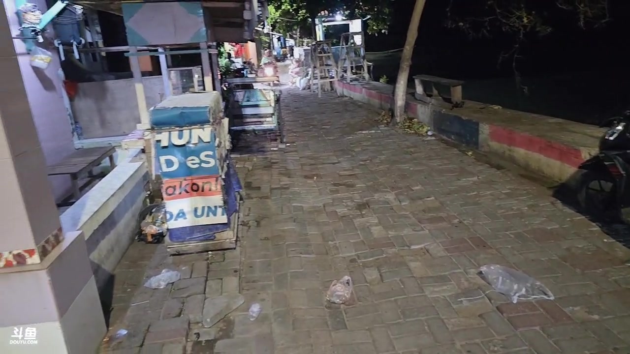 【2025-11-03 19点场】主播大飞牛肉：印度尼西亚三傻15天荒岛生活