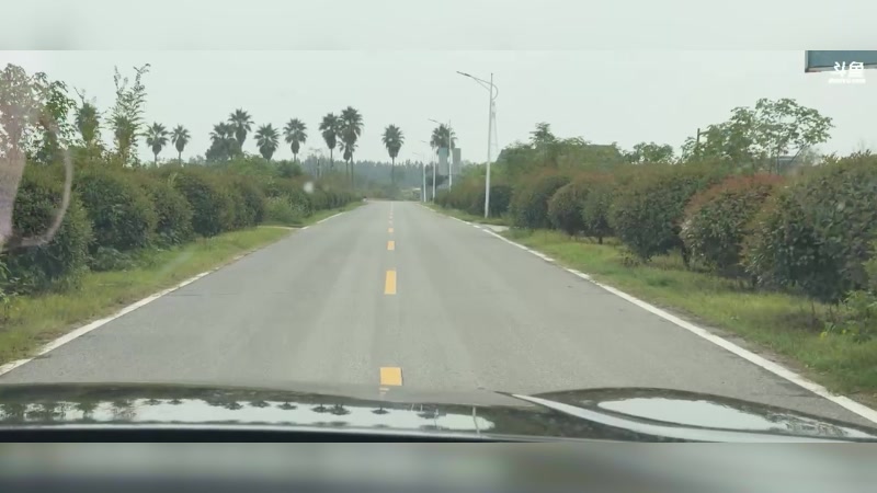 【2025-11-04 14点场】阿二Ayer：不死终会出头，共勉