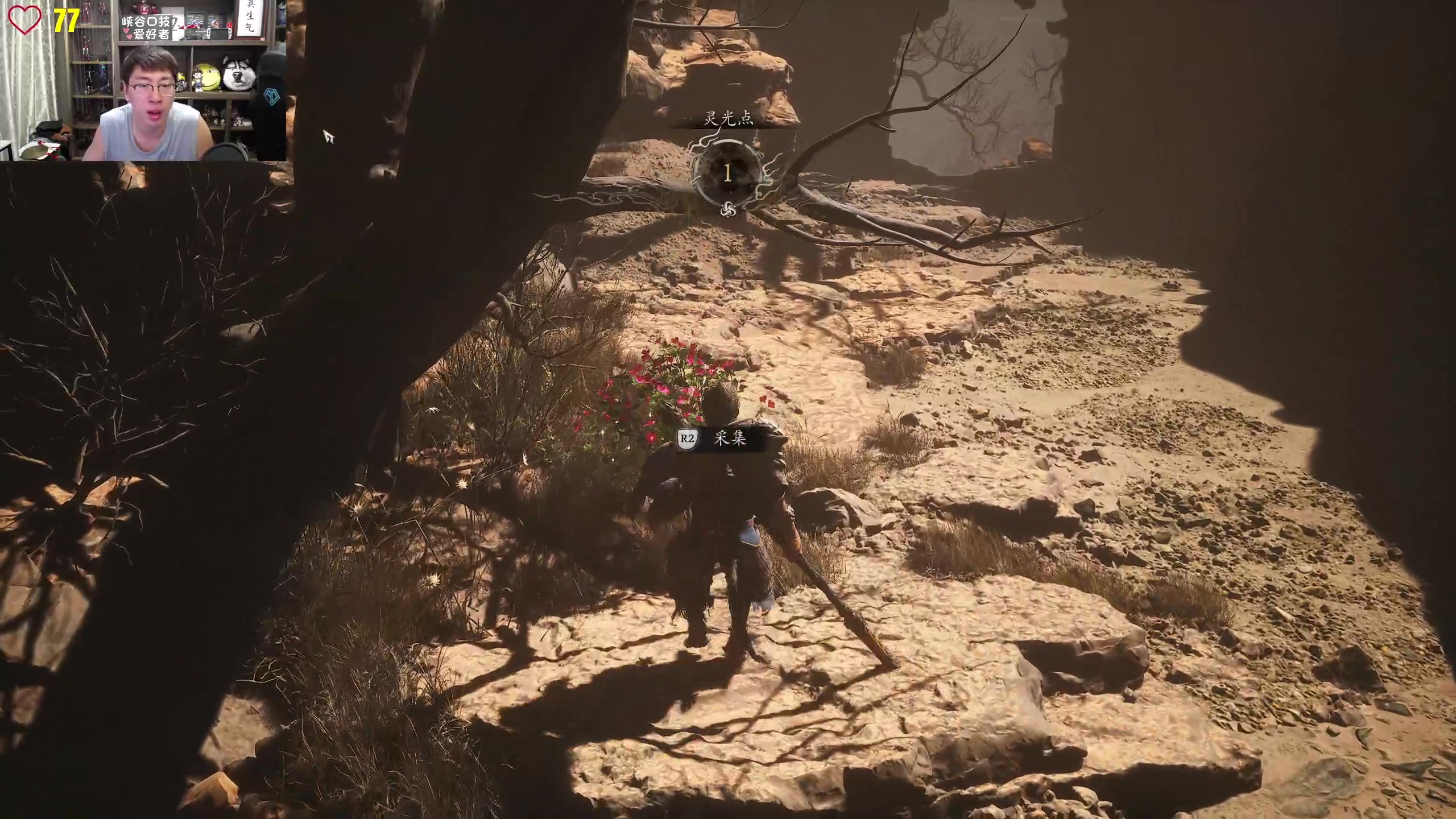 【2025-11-04 19点场】孙悟空丨兰林汉：来了，黑神话悟空！