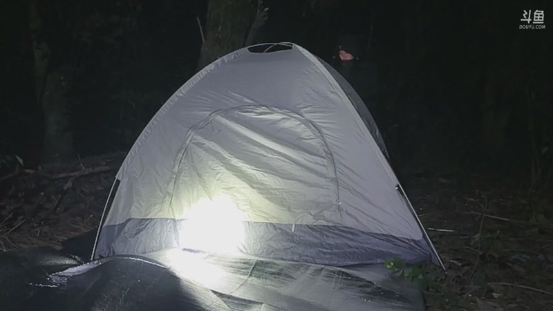 【2025-11-05 00点场】主播阿郎：荒野求生Day1-生火失败挨饿