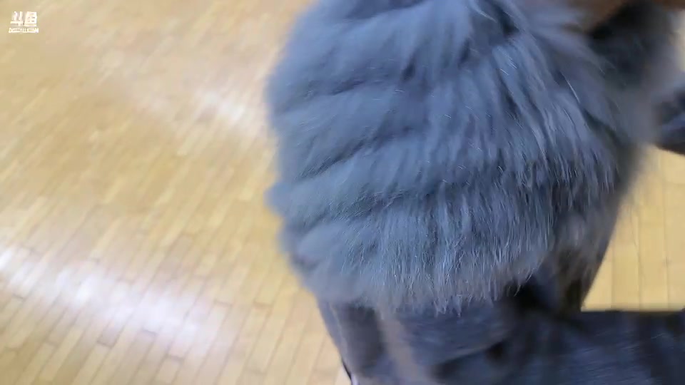 【2025-11-04 22点场】叁三QvQ：224团播day7