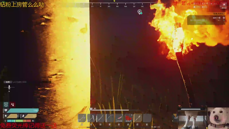 【2025-11-04 07点场】是猫咪吖丶：The Front来咯 么么哒