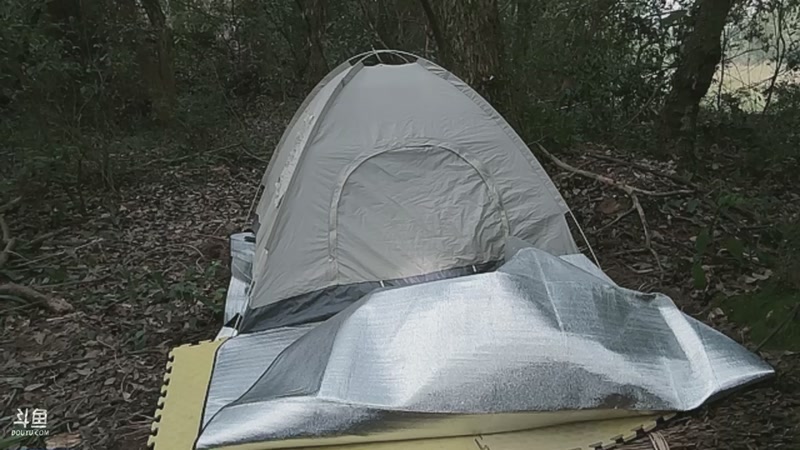 【2025-11-05 06点场】主播阿郎：荒野求生Day1-生火失败挨饿