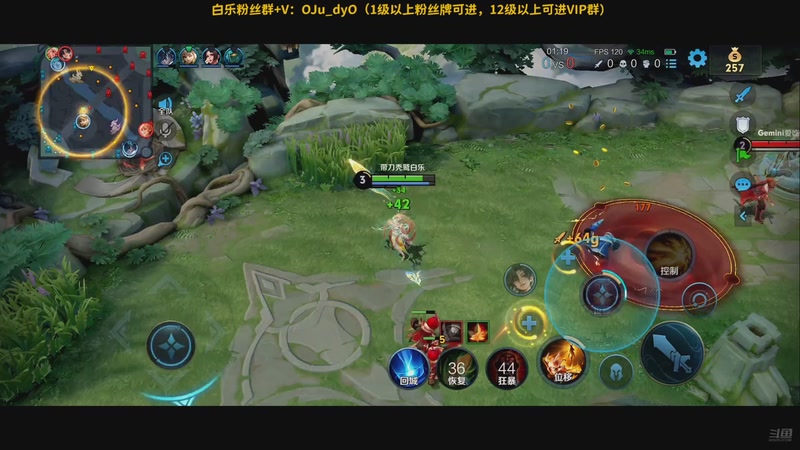 【2025-11-05 21点场】解说白乐：一支队伍！！！