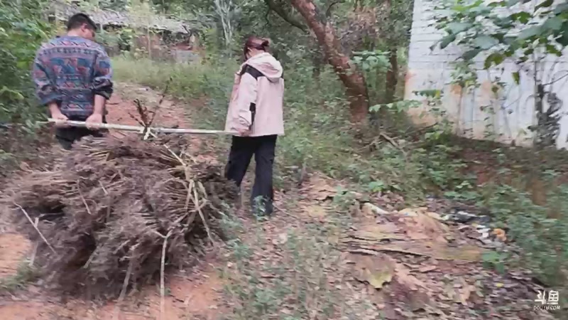 【2025-11-05 12点场】主播阿郎：荒野求生Day2-依旧生火