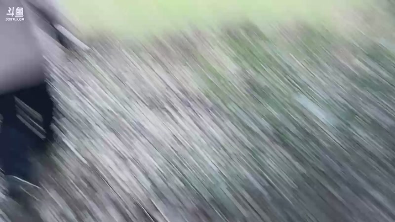 【2025-11-05 16点场】主播阿郎：荒野求生Day2-火火火