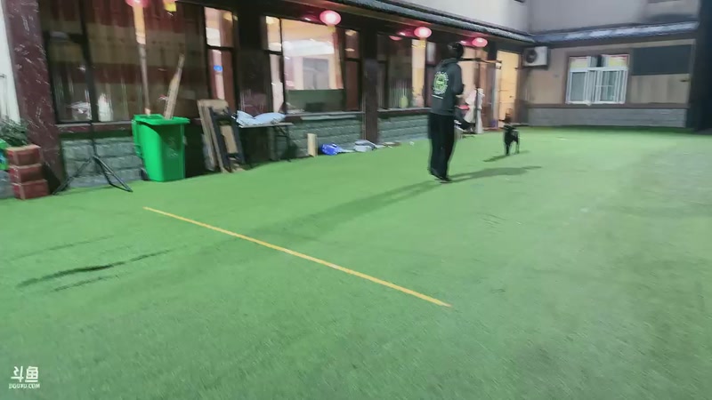 【2025-11-05 23点场】菜到极致小兰摧：【钻石双倍】十一月顺遂~