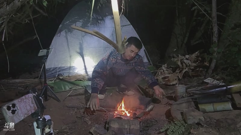 【2025-11-06 19点场】主播阿郎：荒野求生ai版Day3-鸭鸭跑了