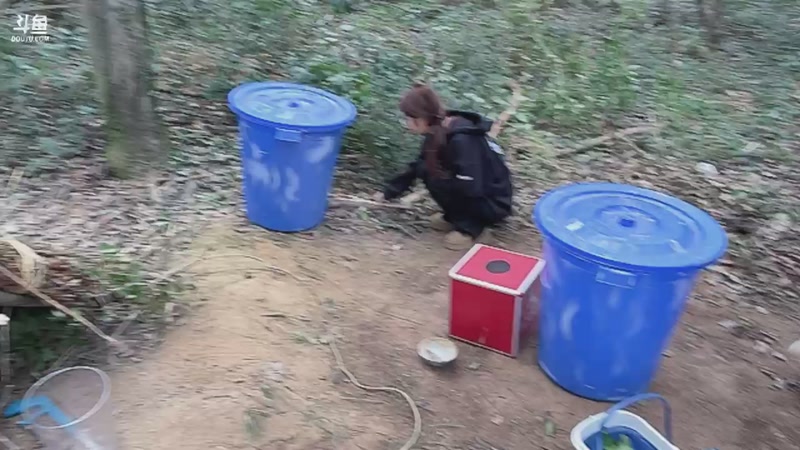 【2025-11-06 11点场】主播阿郎：荒野求生ai版Day3-鸭鸭跑了