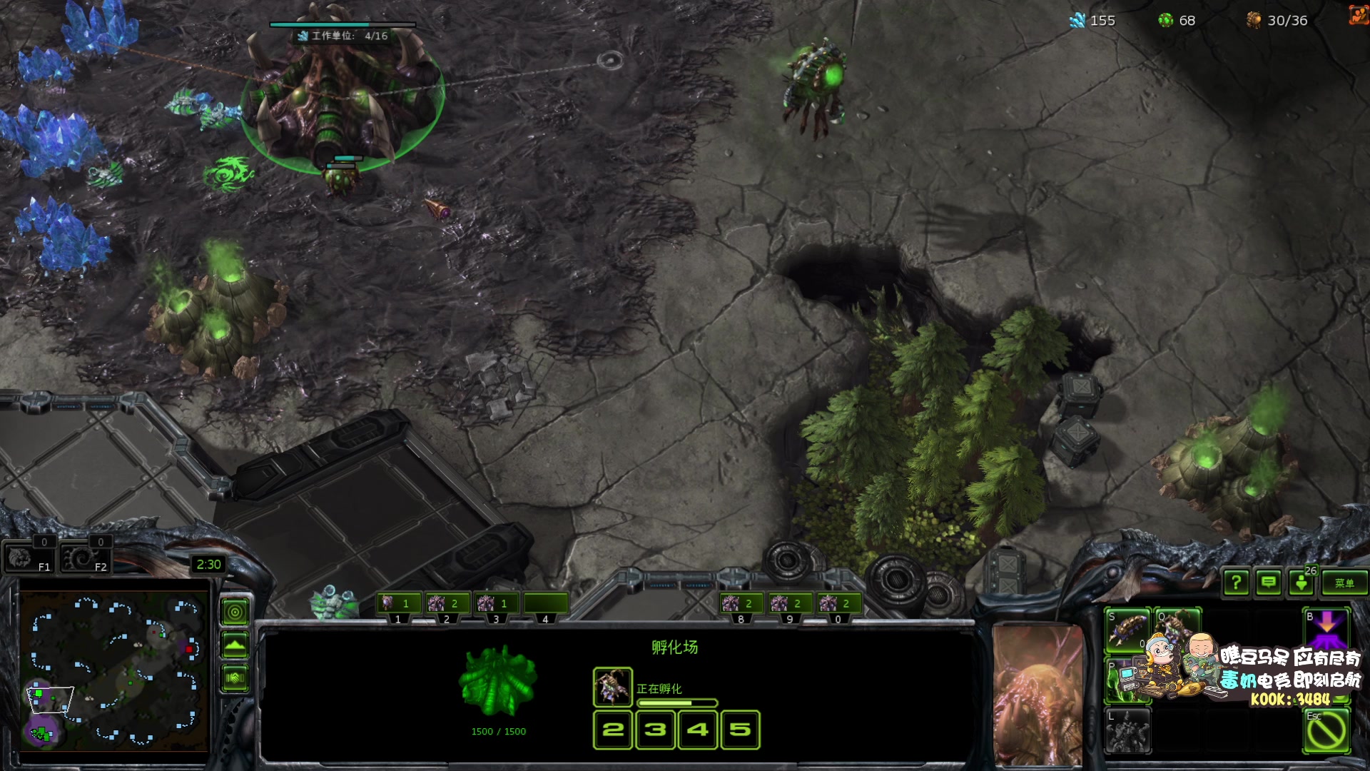 【2025-11-05 20点场】scboy：今晚1v2