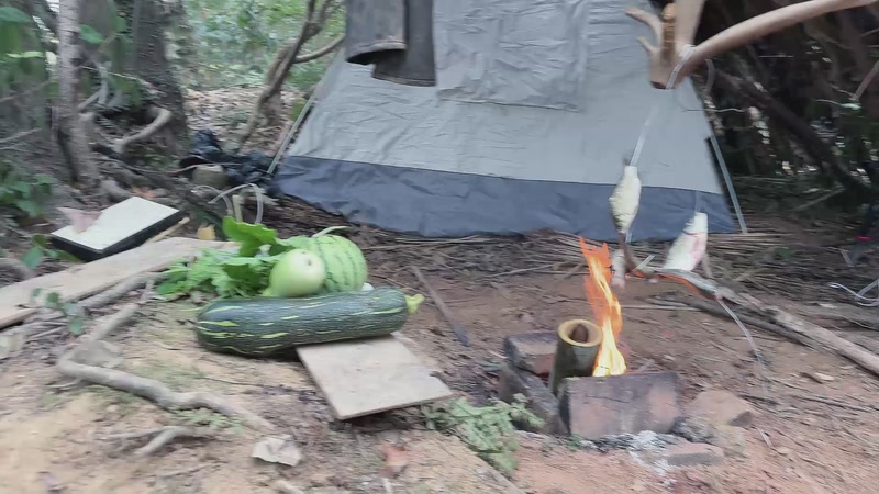 【2025-11-06 15点场】主播阿郎：荒野求生ai版Day3-鸭鸭跑了