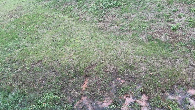 【2025-11-06 15点场】菜到极致小兰摧：【钻石双倍】十一月顺遂~